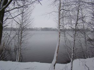 Fishing Adventure wenst iedereen hele fijne Kerstdagen en een gezond, gelukkig en succesvol 2017!