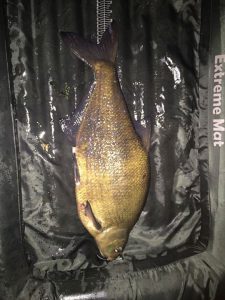 En wederom een nieuw BeNeLux record Brasem. Een verbetering van het huidige record met…