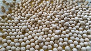 Fishing Adventure shared a post