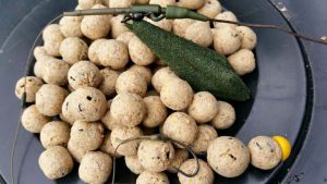 Fishing Adventure shared a post