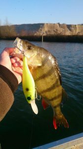 Gevalletje van ogen groter dan de maag of gewoon serieuze zelfoverschatting?