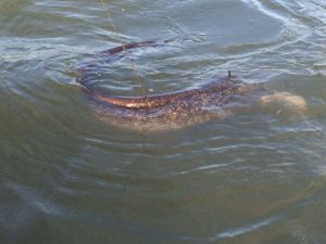 Na een drill van uur lag die naast de Toen sloeg hij een keer…