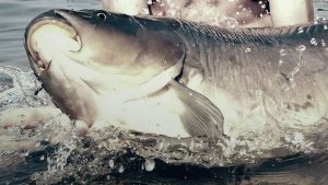 Photos from Fishing Adventure’s post