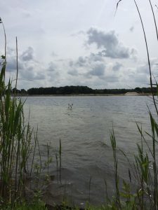 Photos from Fishing Adventure’s post