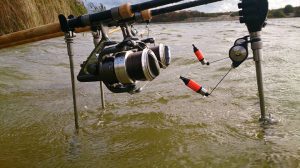 Photos from Fishing Adventure’s post