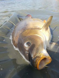 Photos from Fishing Adventure’s post