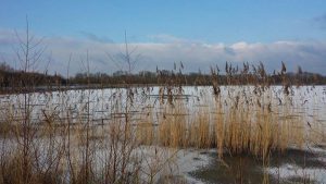 Photos from Fishing Adventure’s post