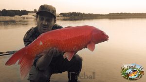 Photos from Fishing Adventure’s post