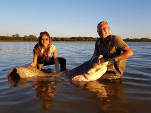 Grootste gevangen meerval tot meter