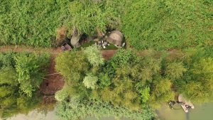 Impressie van stek 19