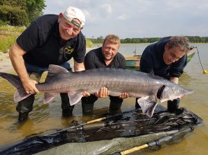 Steurtje lief, steurtje bijten :)