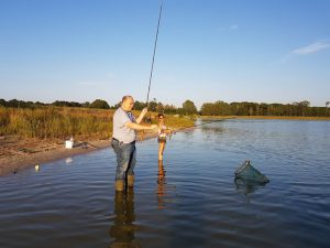 Uurtje met dobbertje en maiskorreltje leverde meer dan 100 Riet- en Blankvoorns op @…