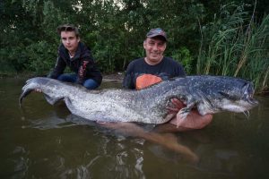 Weer een nieuw meer record meerval