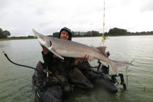 Belugasteur Steuren sleuren