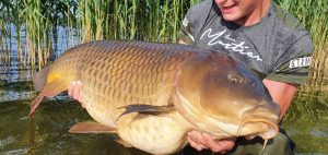 Calvin Tragter vangt nieuw meerrecord schub van 52 pond.