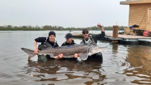 Nieuw meerrecord steur 2,38 meter