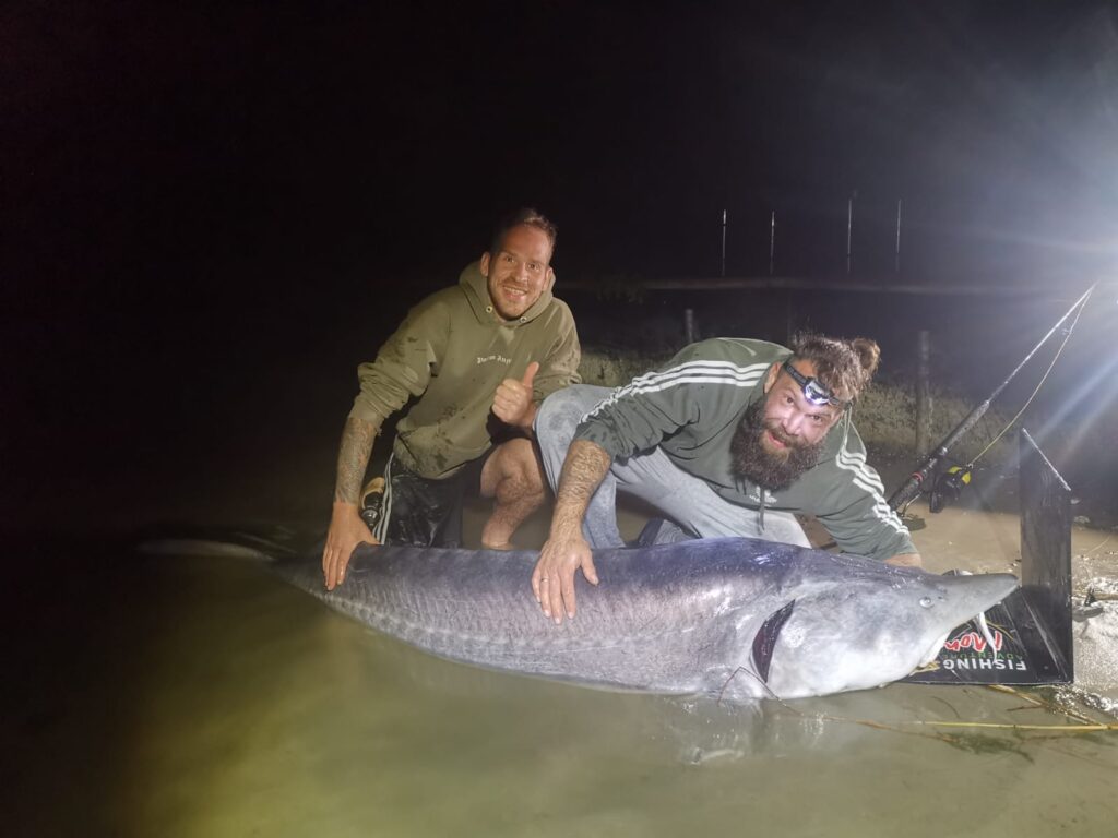 Nieuw Meerrecord Steur 2.54