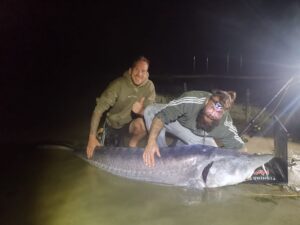 Nieuw Meerrecord Steur 2.54